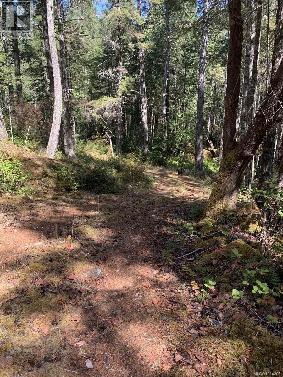 7 27 Oben Rd, Lasqueti Island, British Columbia  V0R 2J0 - Photo 7 - 1014266