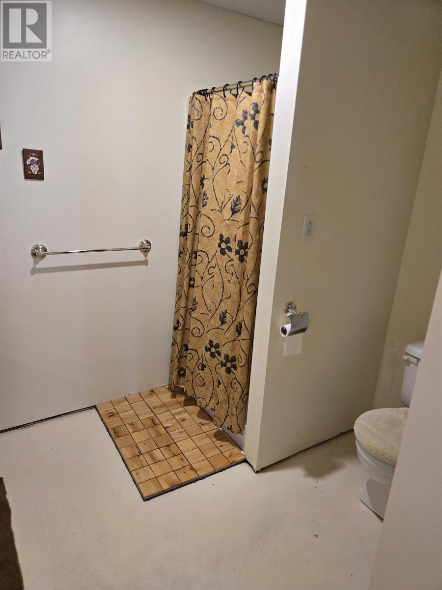 164 Kimberley Rd, Kenora, Ontario  P0X 1H0 - Photo 31 - TB252695