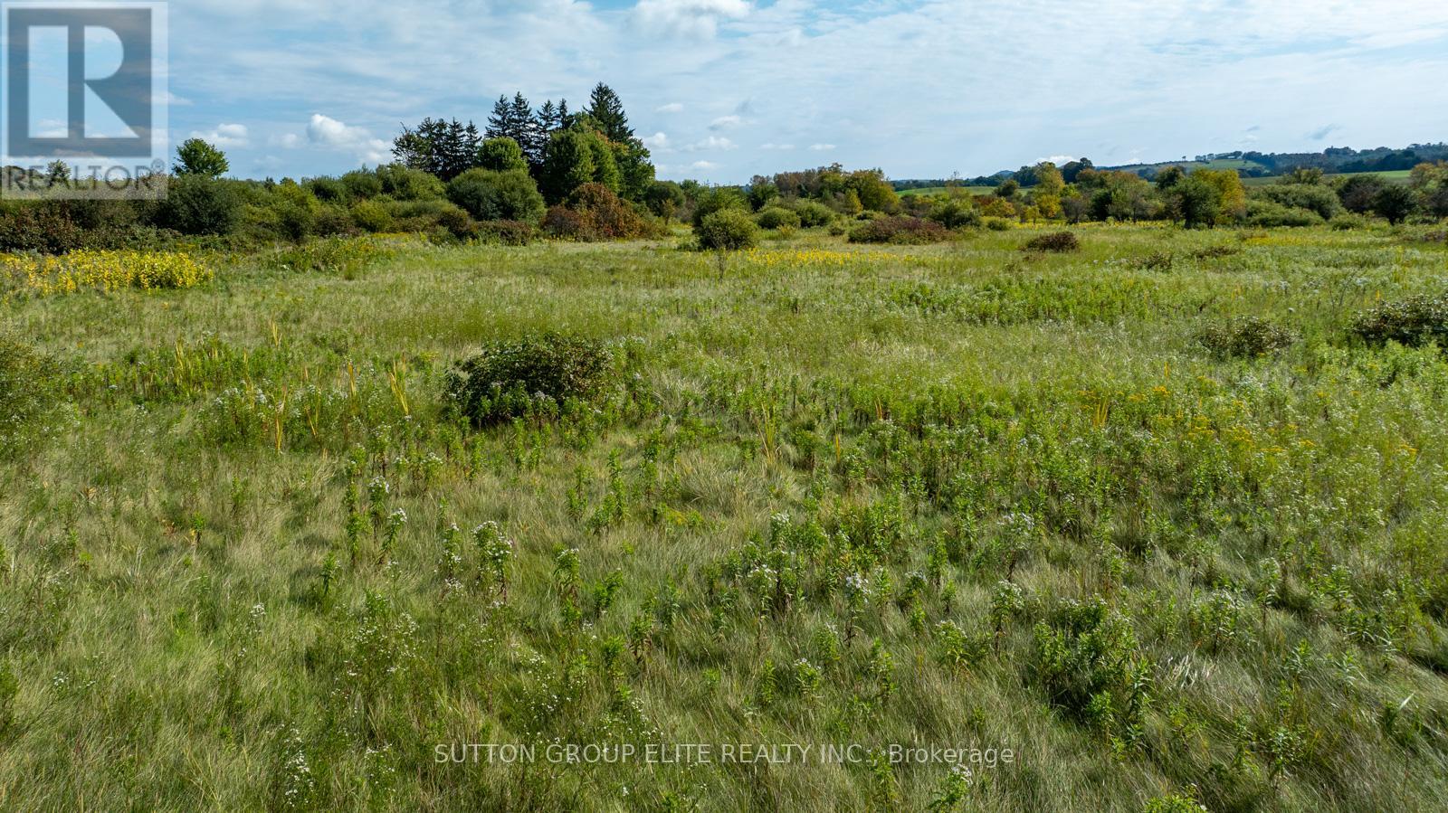 557141 4th Concession S, Meaford, Ontario  L0H 1E0 - Photo 19 - X12410203