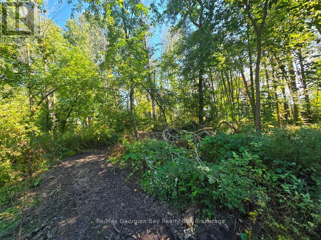 72 Coldwater Road, Severn, Ontario  L0K 1E0 - Photo 11 - S12304690