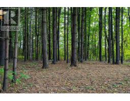 1602 COUNTY RD 7 ROAD, Clearview, Ontario