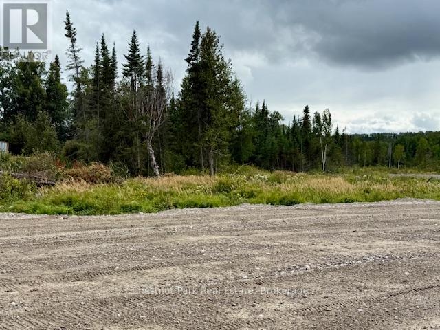 41 Acre Property - 0 Highway 11 North Highway, Englehart (Central Timiskaming), Ontario  P0J 1H0 - Photo 18 - T12410476