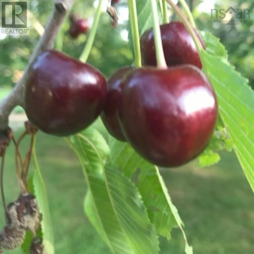 2041 Clarence Road, Clarence, Nova Scotia  B0S 1C0 - Photo 35 - 202523614