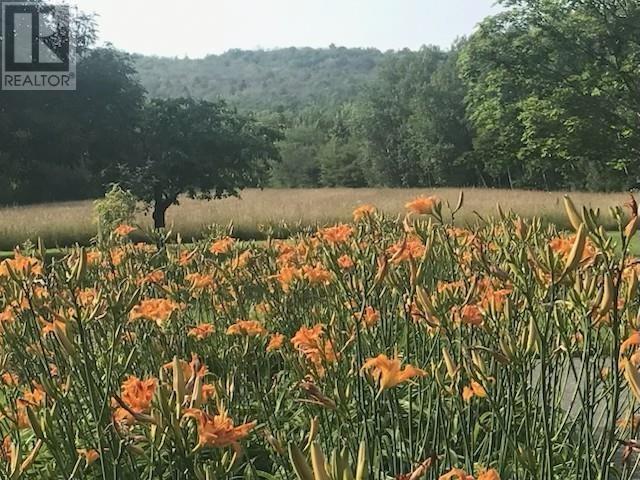 2041 Clarence Road, Clarence, Nova Scotia  B0S 1C0 - Photo 36 - 202523614