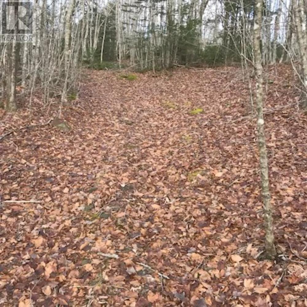 2041 Clarence Road, Clarence, Nova Scotia  B0S 1C0 - Photo 42 - 202523614