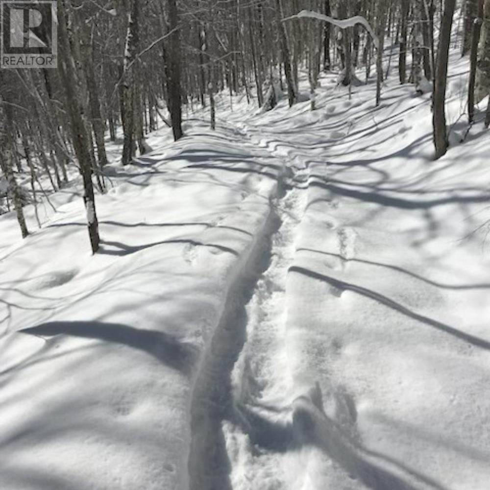 2041 Clarence Road, Clarence, Nova Scotia  B0S 1C0 - Photo 43 - 202523614