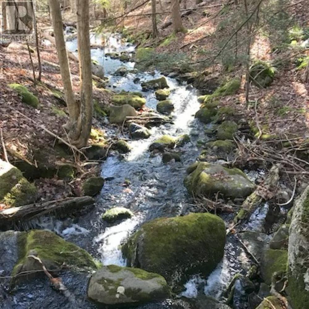 2041 Clarence Road, Clarence, Nova Scotia  B0S 1C0 - Photo 45 - 202523614