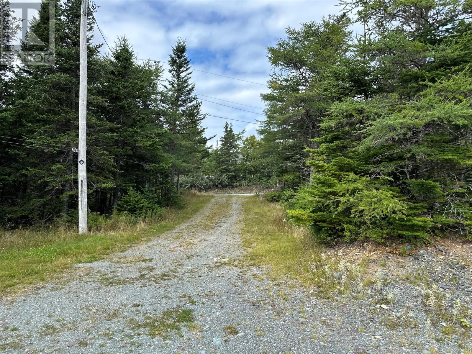 235 Middle Gull Pond Road, Middle Gull Pond, Newfoundland & Labrador  A0G 1B0 - Photo 2 - 1290545