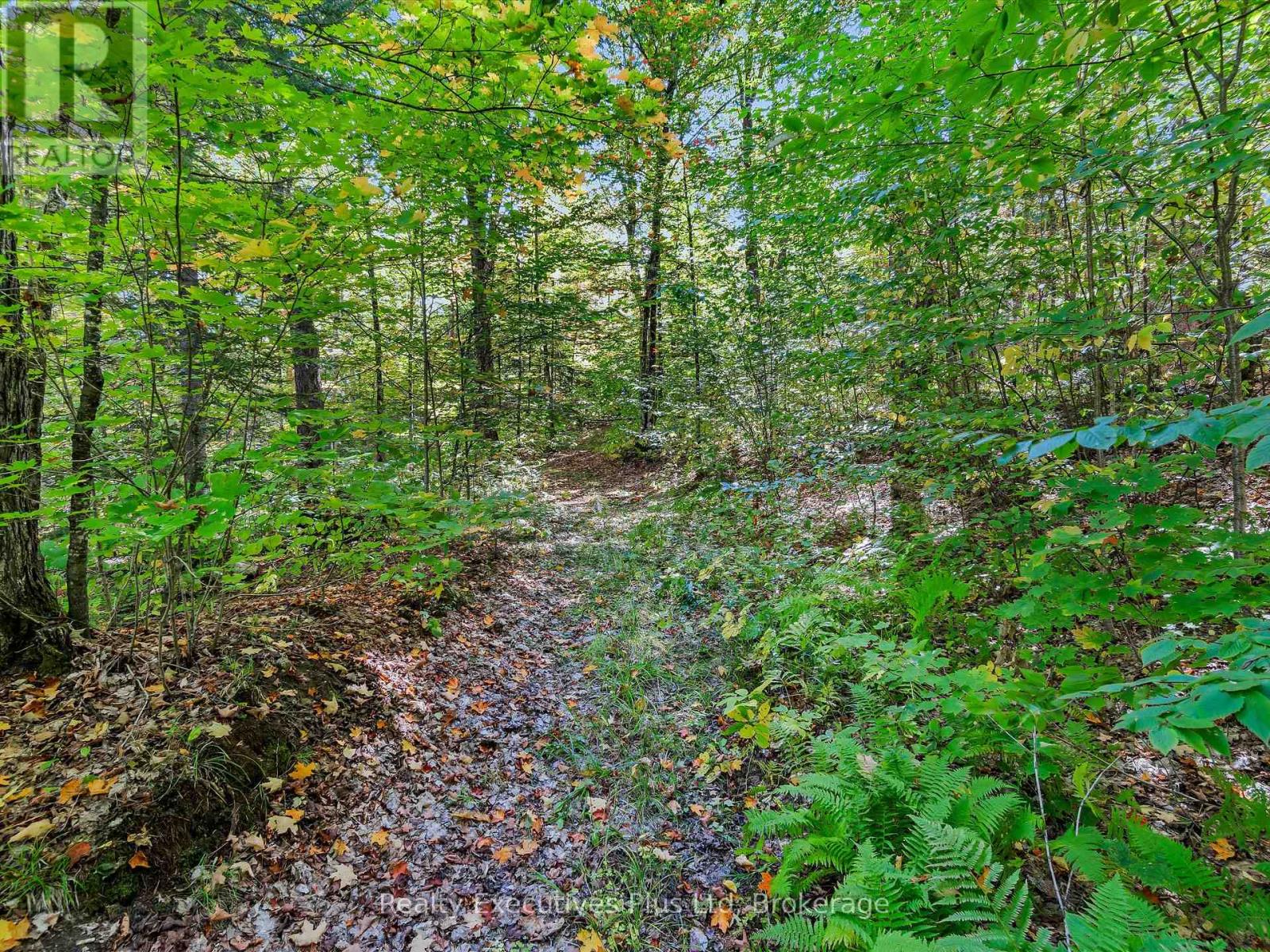 353 Mcfadden Line, Parry Sound Remote Area, Ontario  P0A 2L0 - Photo 40 - X12408603