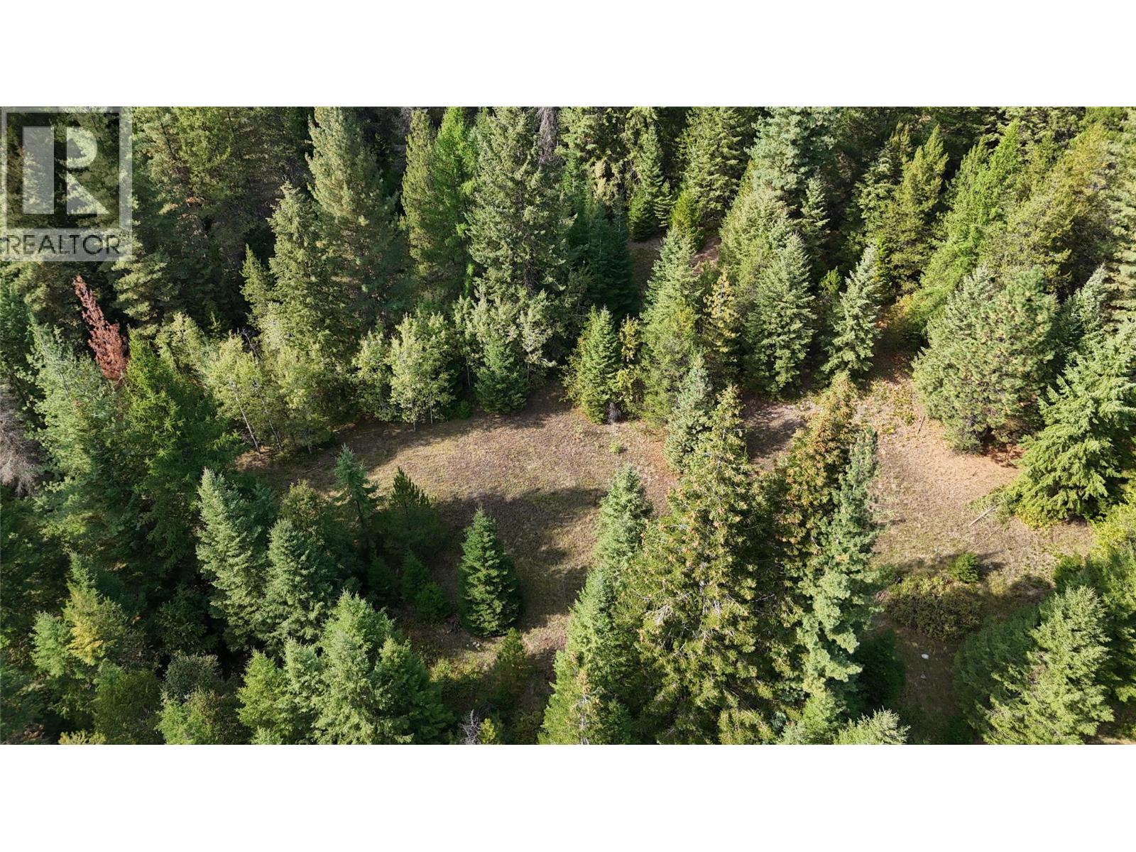 Lot 1 Ross Spur Road, Ross Spur, British Columbia  V0G 1L1 - Photo 6 - 10363035