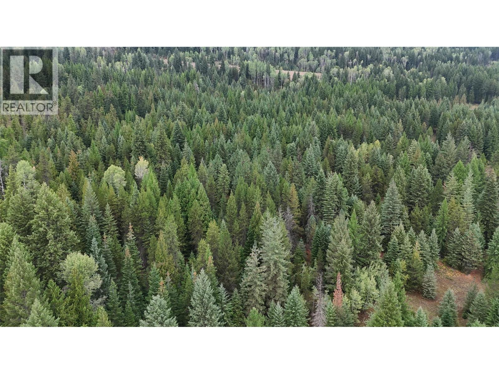 Lot 1 Ross Spur Road, Ross Spur, British Columbia  V0G 1L1 - Photo 10 - 10363035