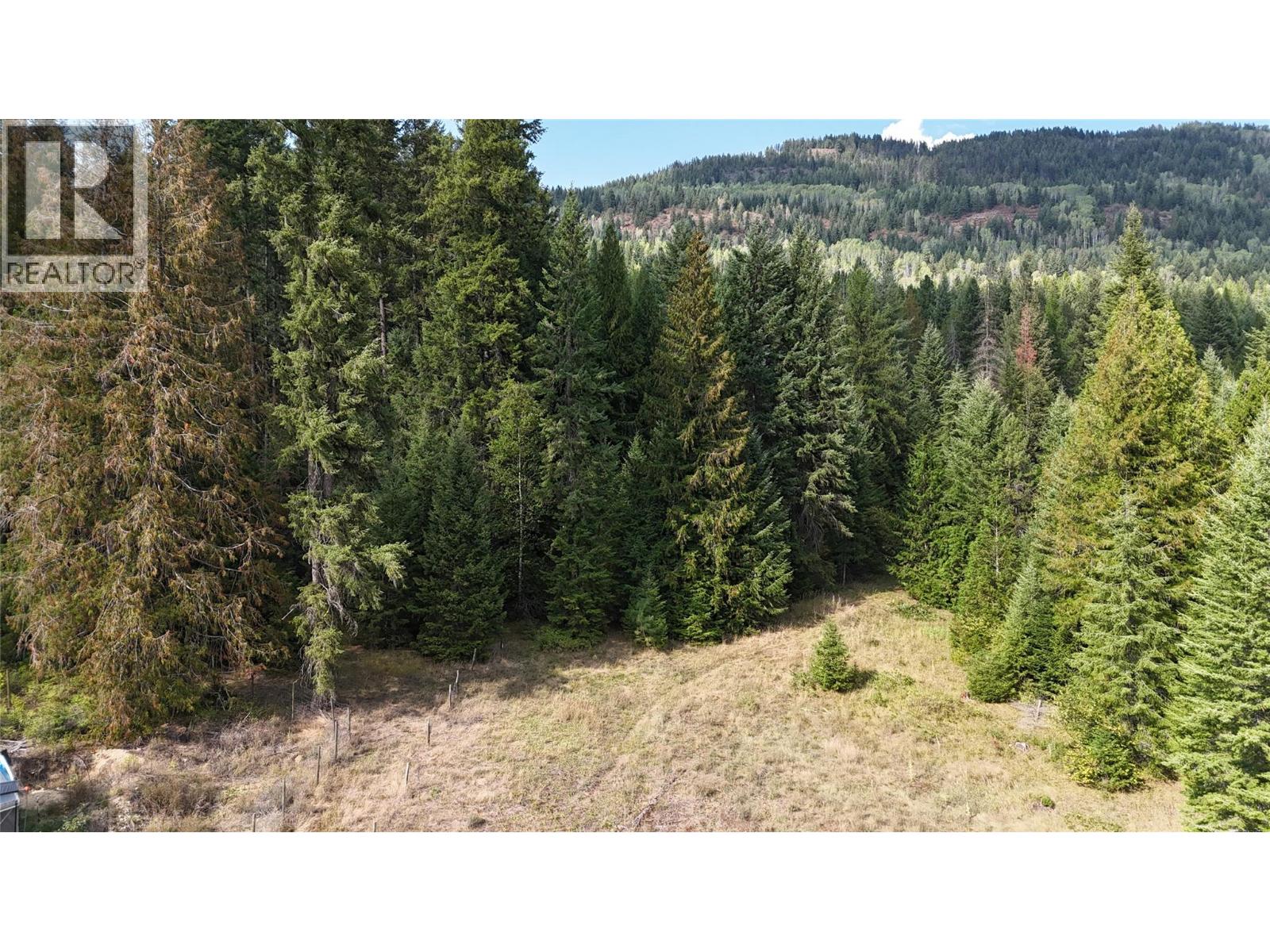 Lot 1 Ross Spur Road, Ross Spur, British Columbia  V0G 1L1 - Photo 4 - 10363035