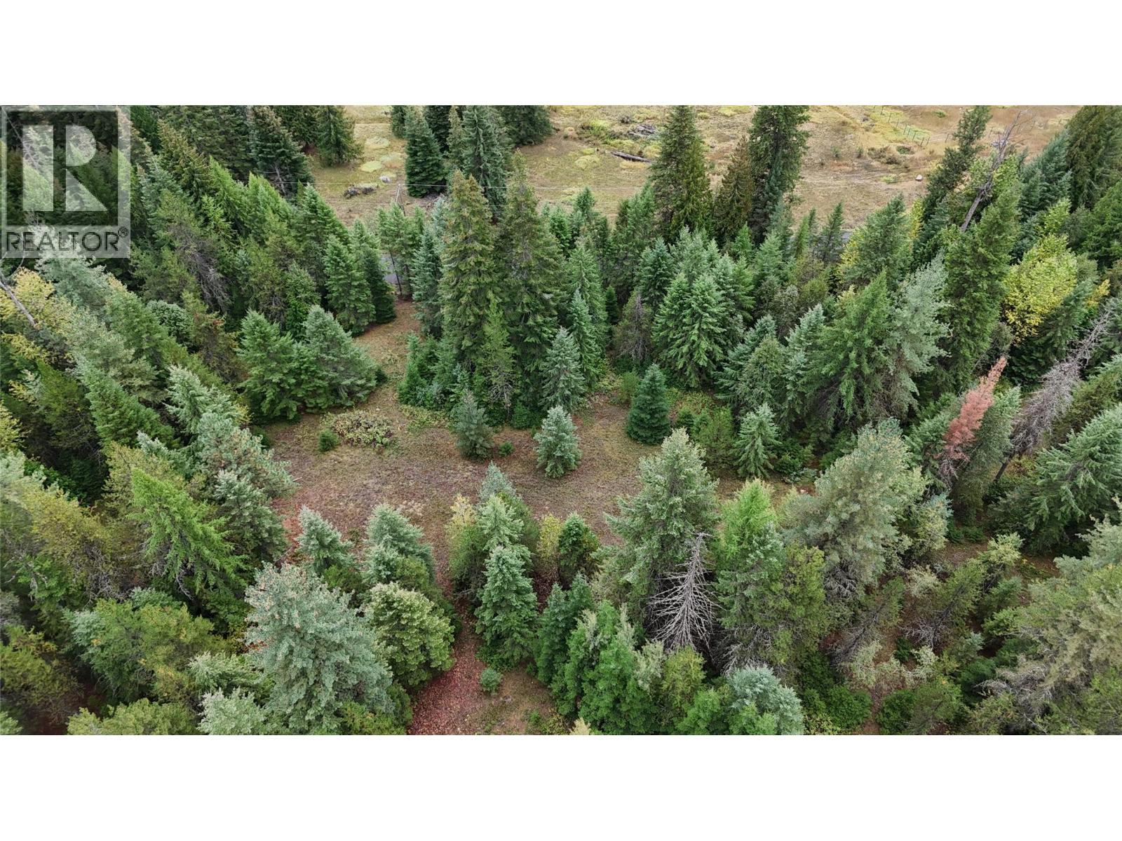 Lot 1 Ross Spur Road, Ross Spur, British Columbia  V0G 1L1 - Photo 9 - 10363035