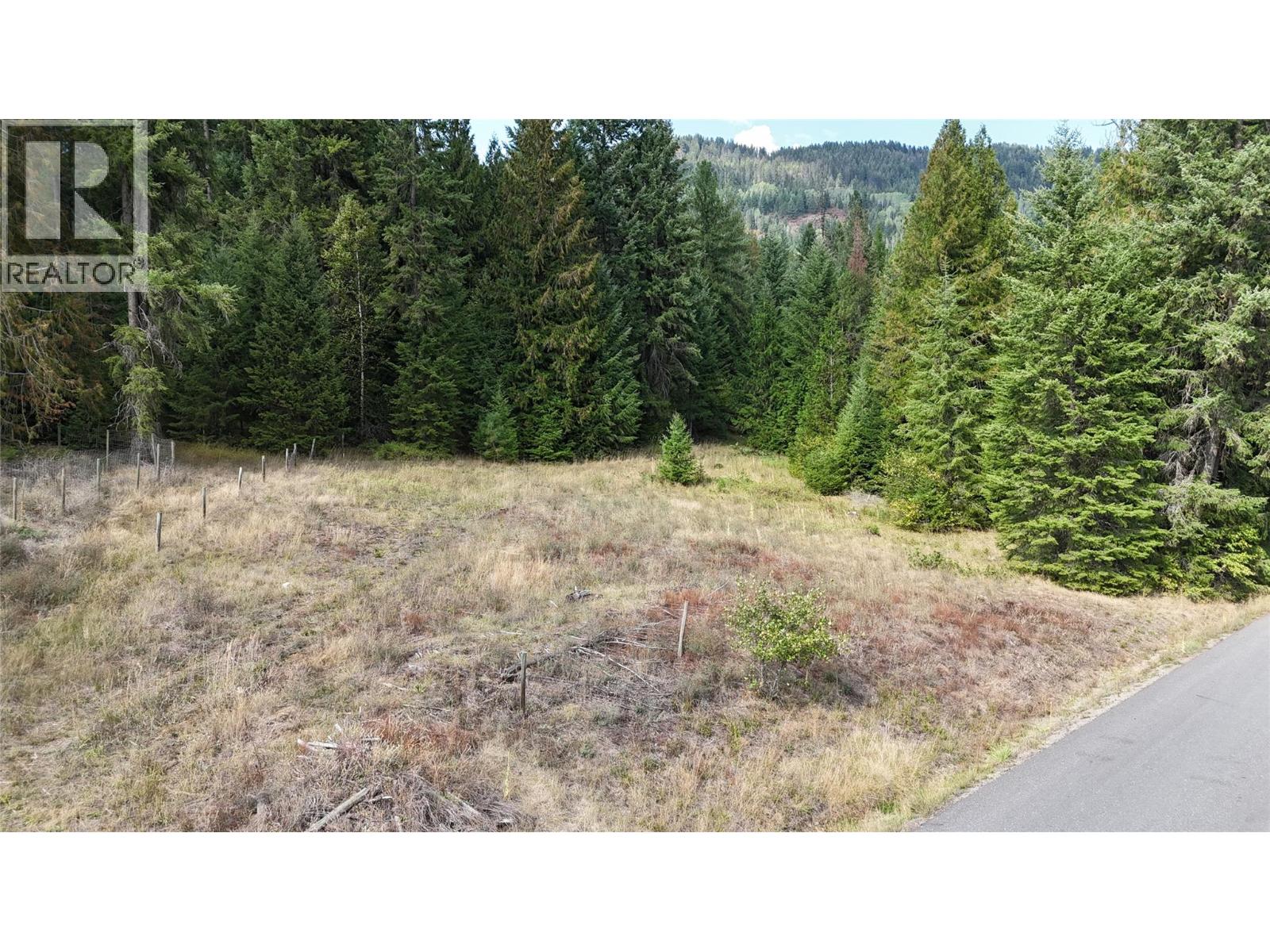 Lot 1 Ross Spur Road, Ross Spur, British Columbia  V0G 1L1 - Photo 2 - 10363035