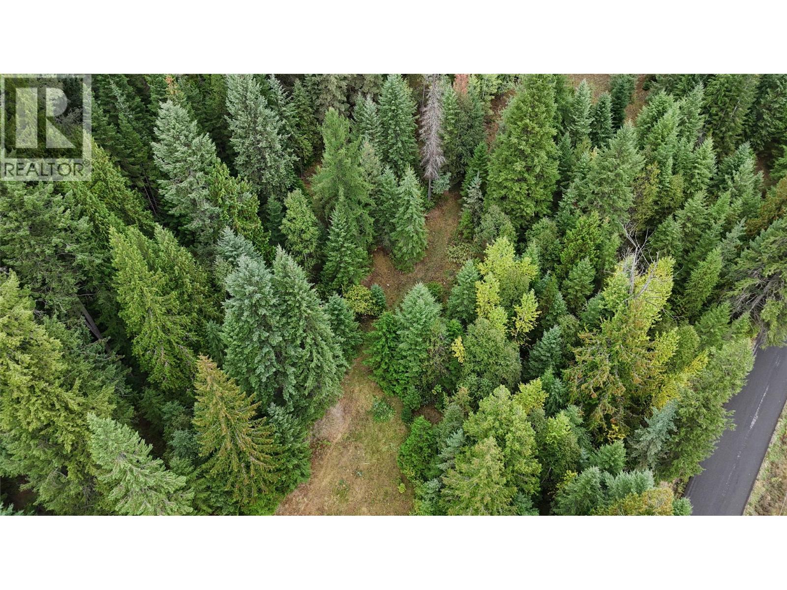 Lot 1 Ross Spur Road, Ross Spur, British Columbia  V0G 1L1 - Photo 3 - 10363035