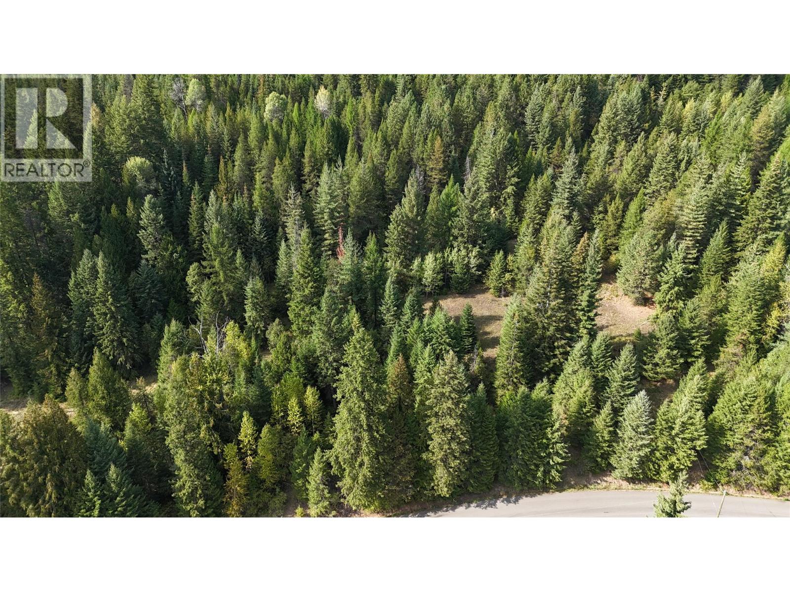 Lot 1 Ross Spur Road, Ross Spur, British Columbia  V0G 1L1 - Photo 5 - 10363035