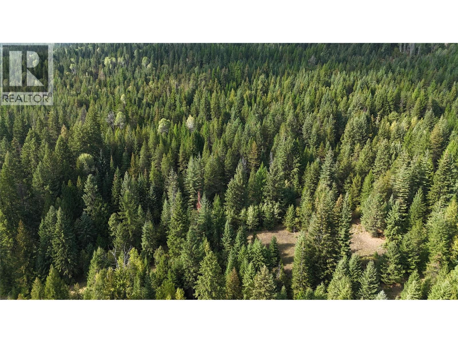 Lot 1 Ross Spur Road, Ross Spur, British Columbia  V0G 1L1 - Photo 12 - 10363035