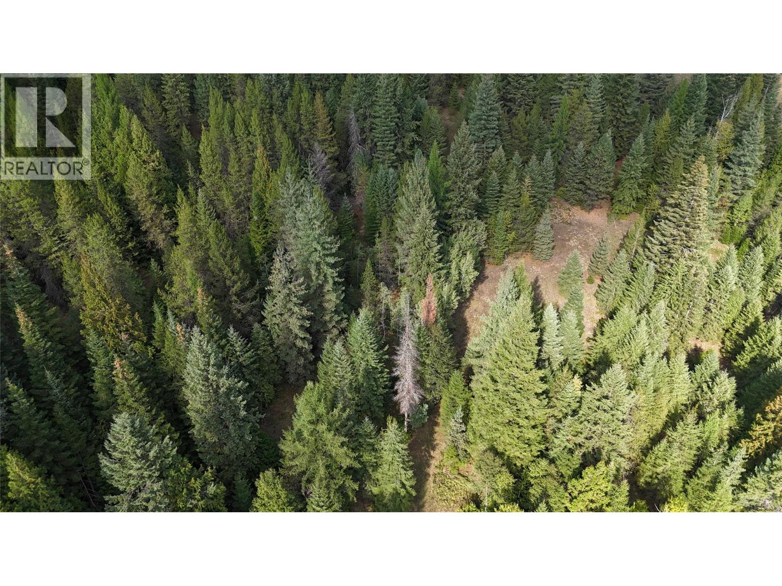 Lot 1 Ross Spur Road, Ross Spur, British Columbia  V0G 1L1 - Photo 11 - 10363035
