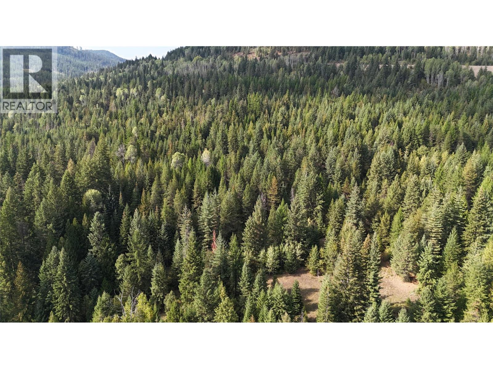 Lot 1 Ross Spur Road, Ross Spur, British Columbia  V0G 1L1 - Photo 13 - 10363035