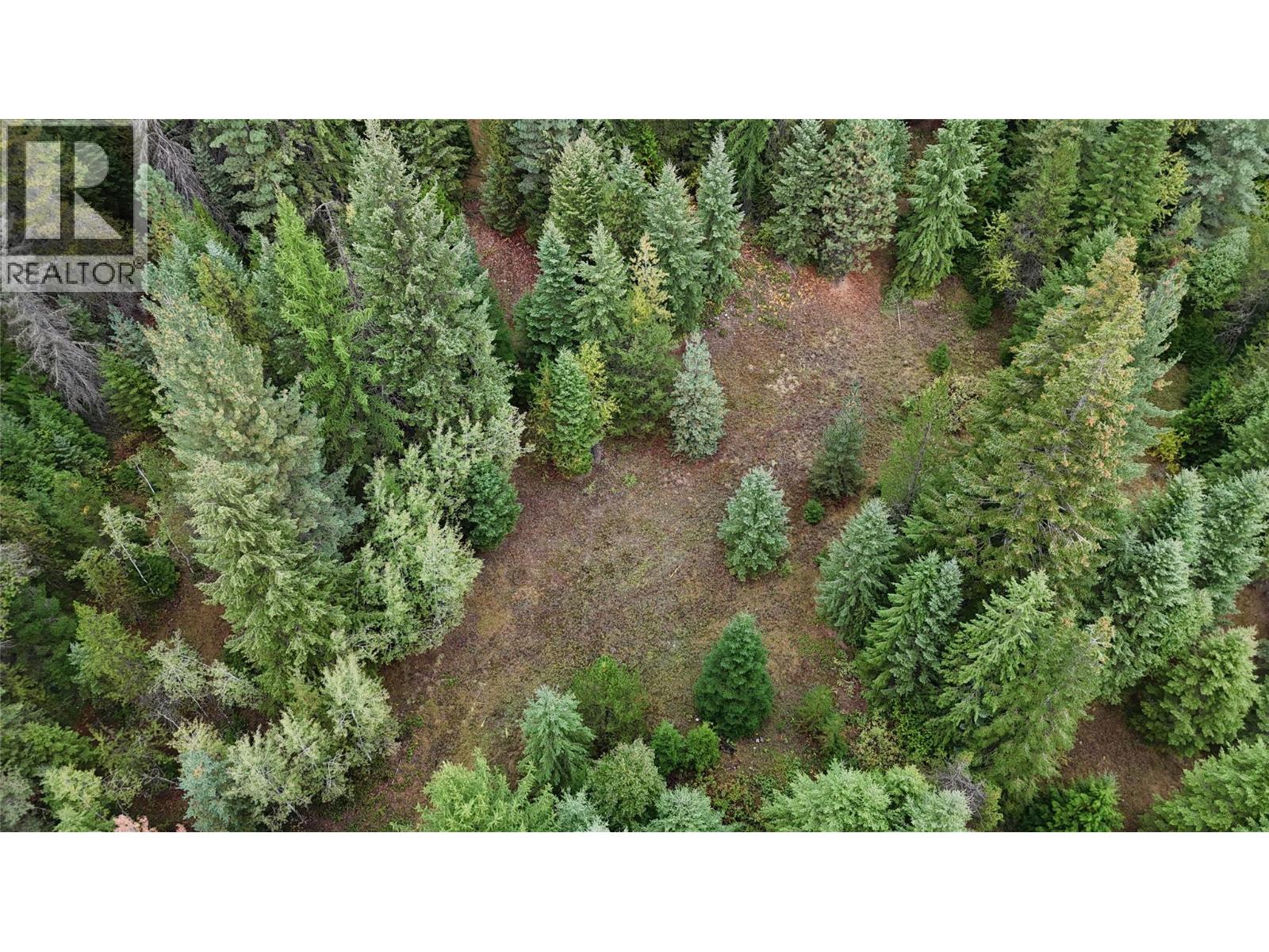 Lot 1 Ross Spur Road, Ross Spur, British Columbia  V0G 1L1 - Photo 7 - 10363035