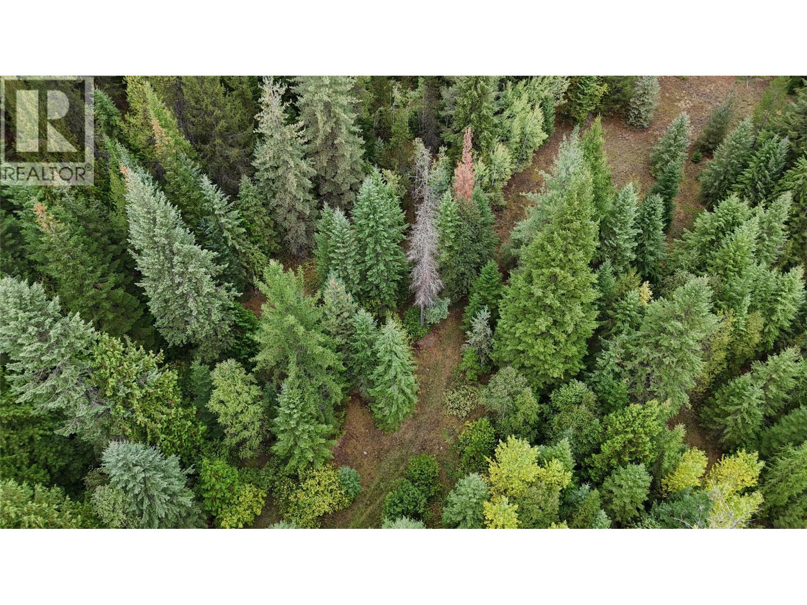 Lot 1 Ross Spur Road, Ross Spur, British Columbia  V0G 1L1 - Photo 8 - 10363035