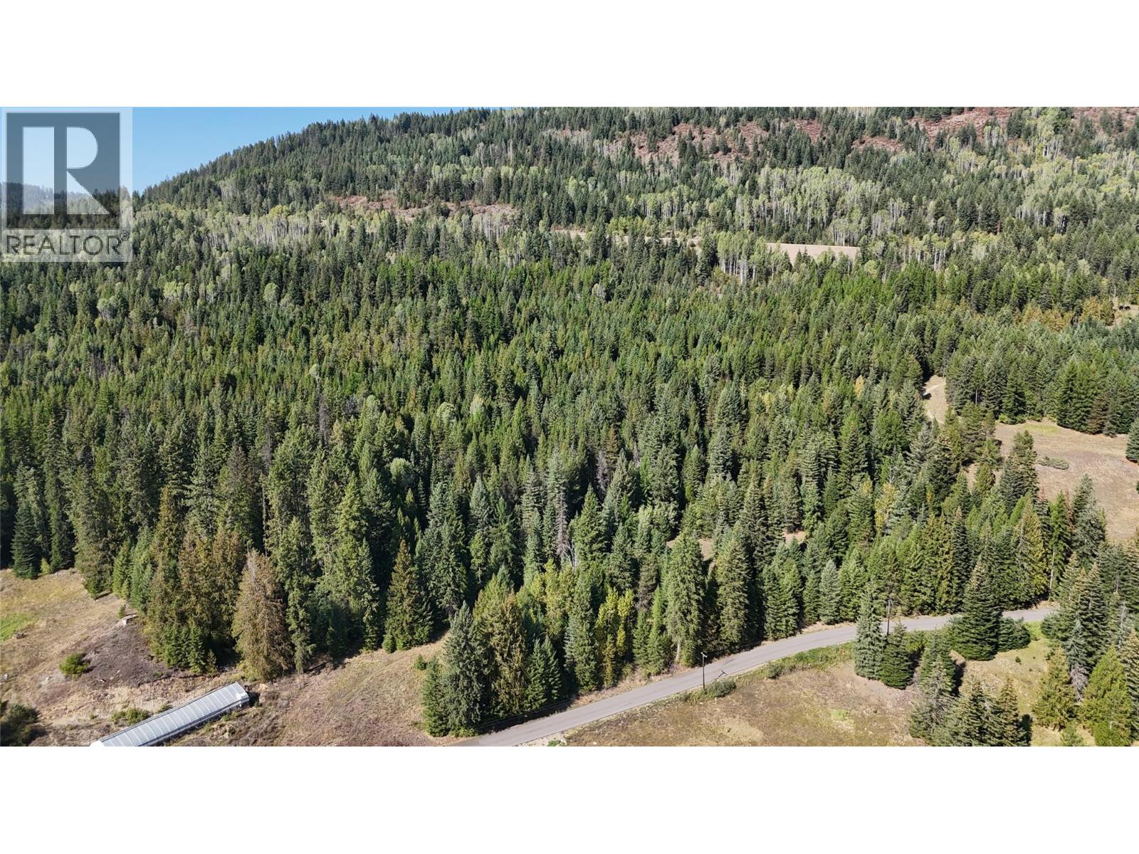 Lot 1 Ross Spur Road, Ross Spur, British Columbia  V0G 1L1 - Photo 15 - 10363035