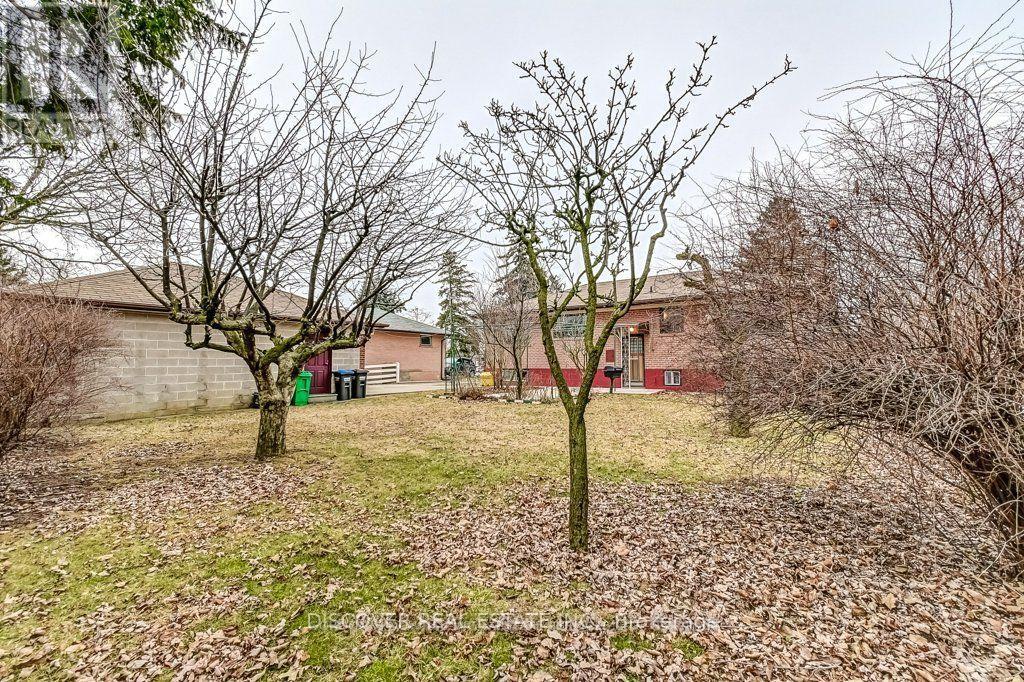 Ground Floor Only - 186 Floradale Drive, Mississauga, Ontario  L5B 1G3 - Photo 11 - W12410657