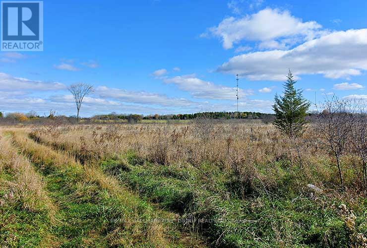 0 5 Concession Road, Brock, Ontario  L0K 1A0 - Photo 10 - N12410693