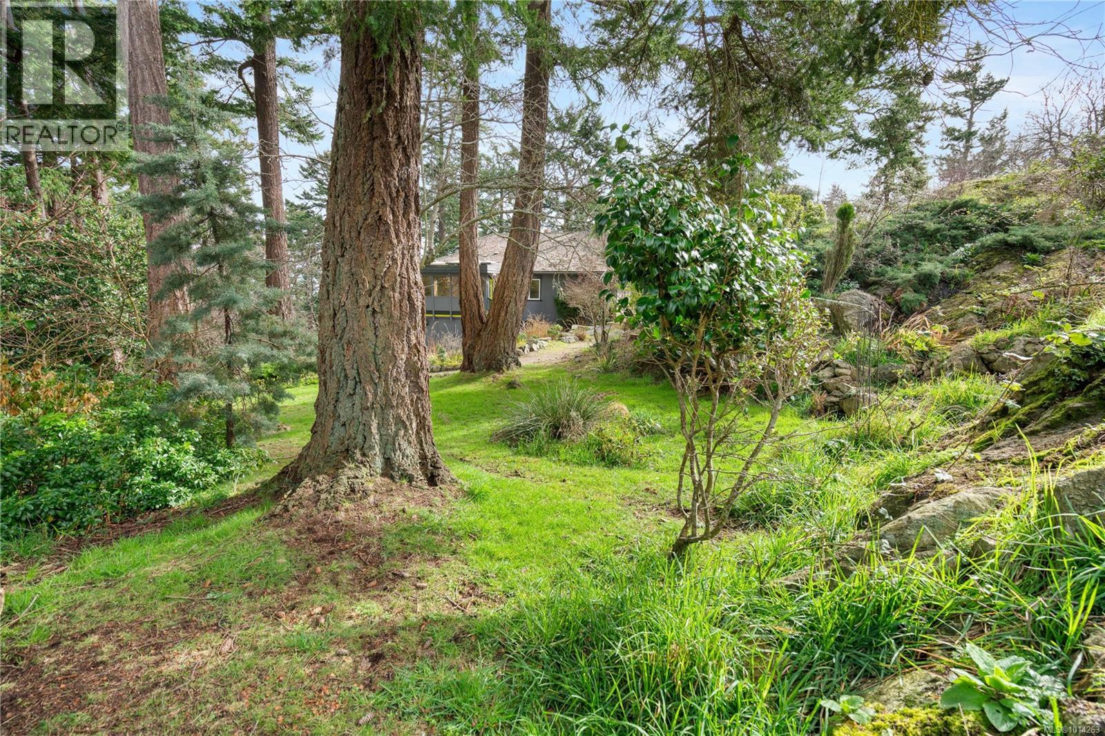 Lot 1 Sylvan Lane, Oak Bay, British Columbia  V8S 2K8 - Photo 9 - 1014263