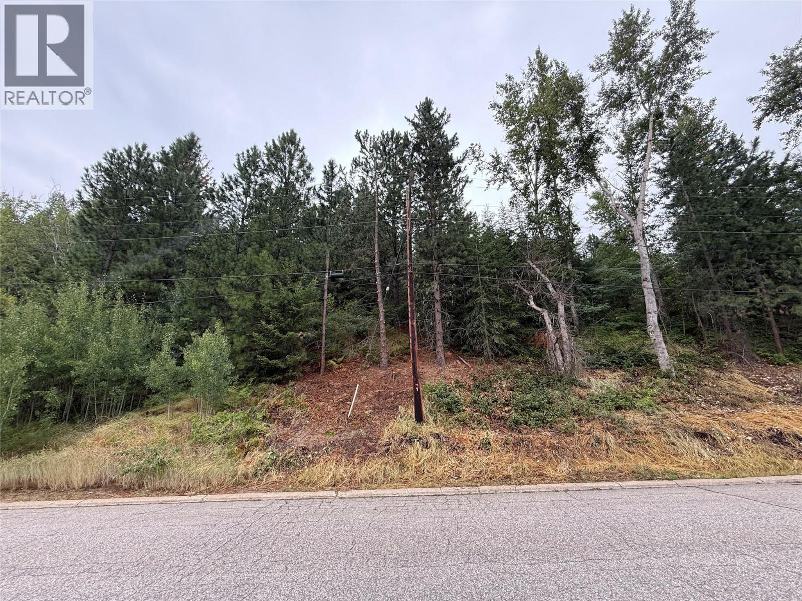 Sublot 3 Laburnum Drive, Trail, British Columbia  V1R 1A1 - Photo 14 - 10356820