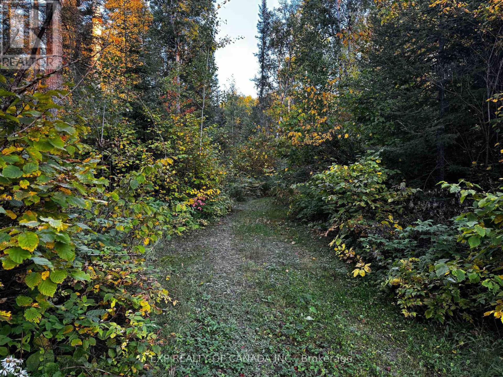 Pl27561 Lt 3 Pl M978 Ne, Sudbury Remote Area, Ontario  P4N 7C5 - Photo 44 - X12410802