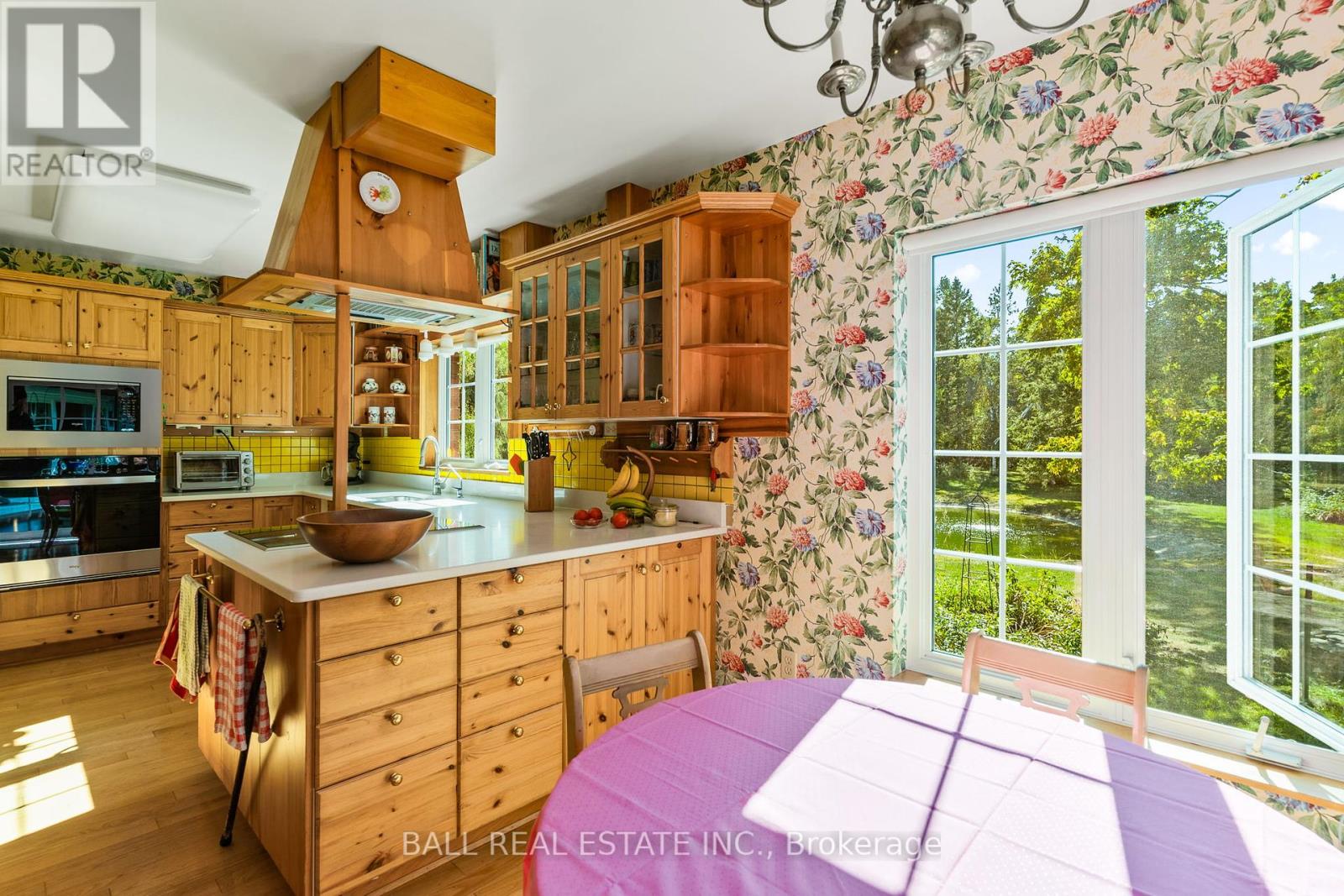 849 County Rd 49, Kawartha Lakes, Ontario  K0M 1A0 - Photo 13 - X12410626