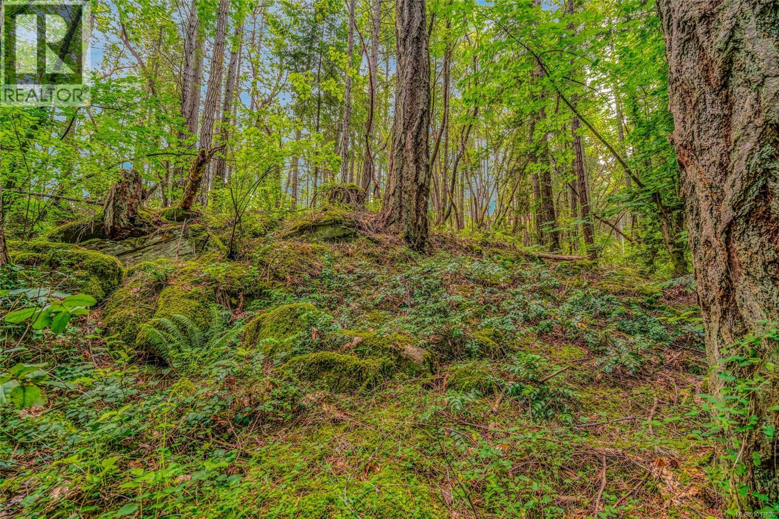 Lt 32 Ruxton Island, Ruxton Island, British Columbia  V0V 0V0 - Photo 16 - 1013620
