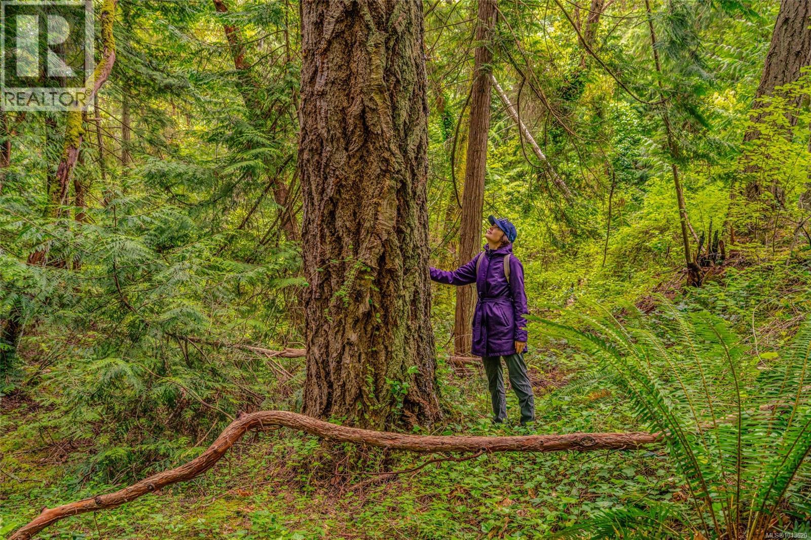 Lt 32 Ruxton Island, Ruxton Island, British Columbia  V0V 0V0 - Photo 17 - 1013620