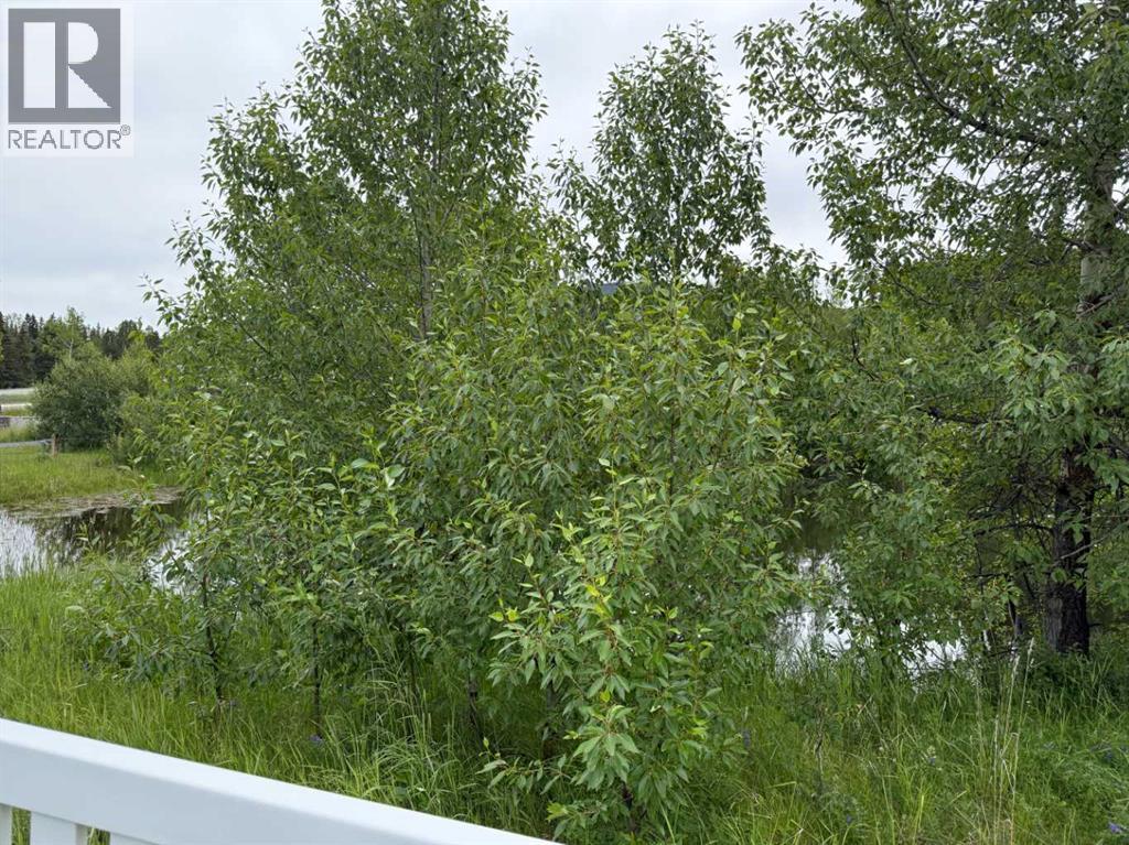 331 Elizabeth Avenue, Nordegg, Alberta  T0M 2H0 - Photo 3 - A2240776
