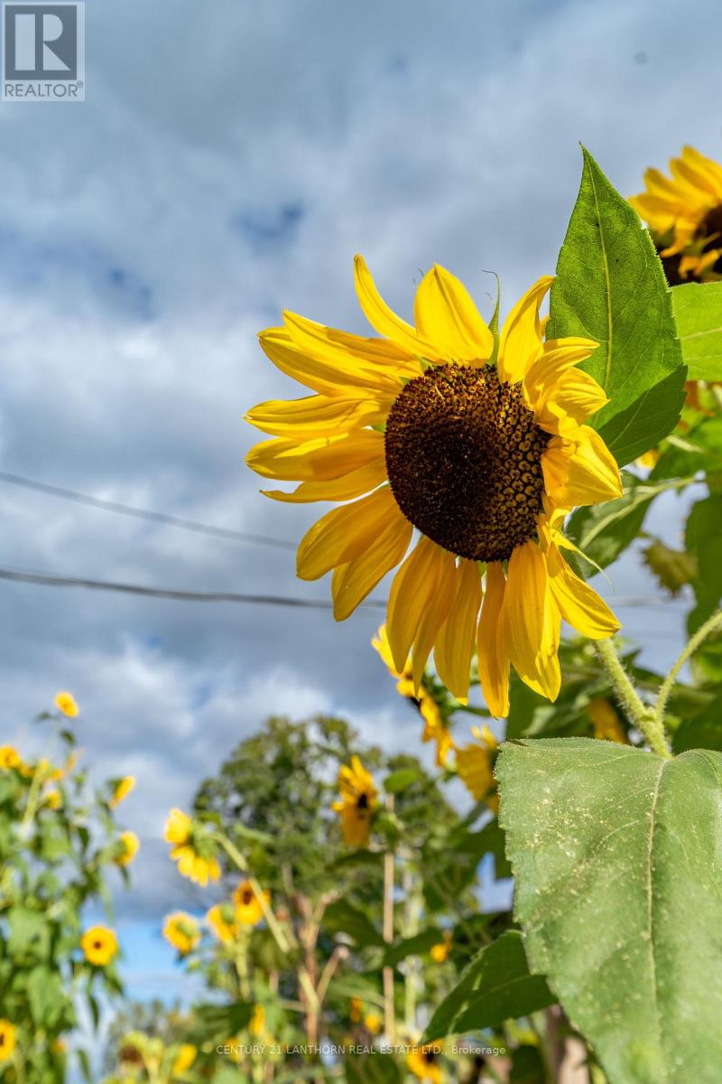 56 Mary Street, Prince Edward County, Ontario  K0K 2T0 - Photo 27 - X12410982