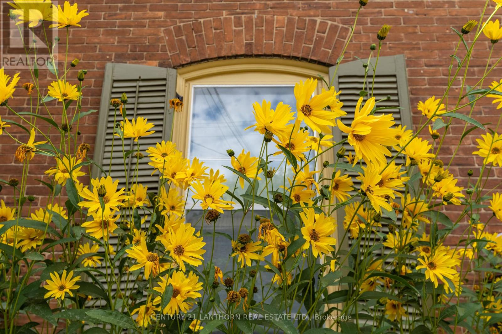 56 Mary Street, Prince Edward County, Ontario  K0K 2T0 - Photo 5 - X12410982