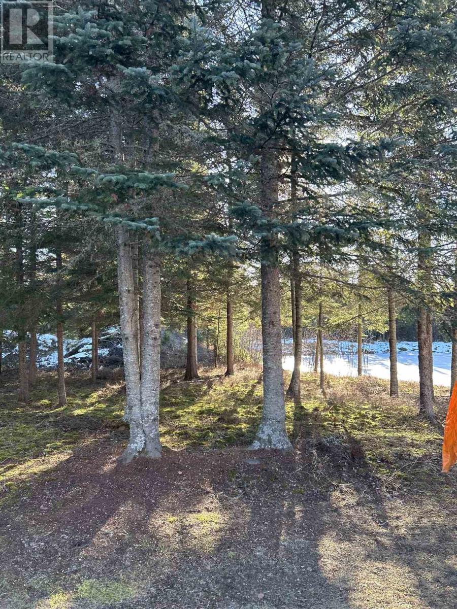 1 Bear Camp, Vermilion Bay, Ontario  P0V 1S0 - Photo 21 - TB252026