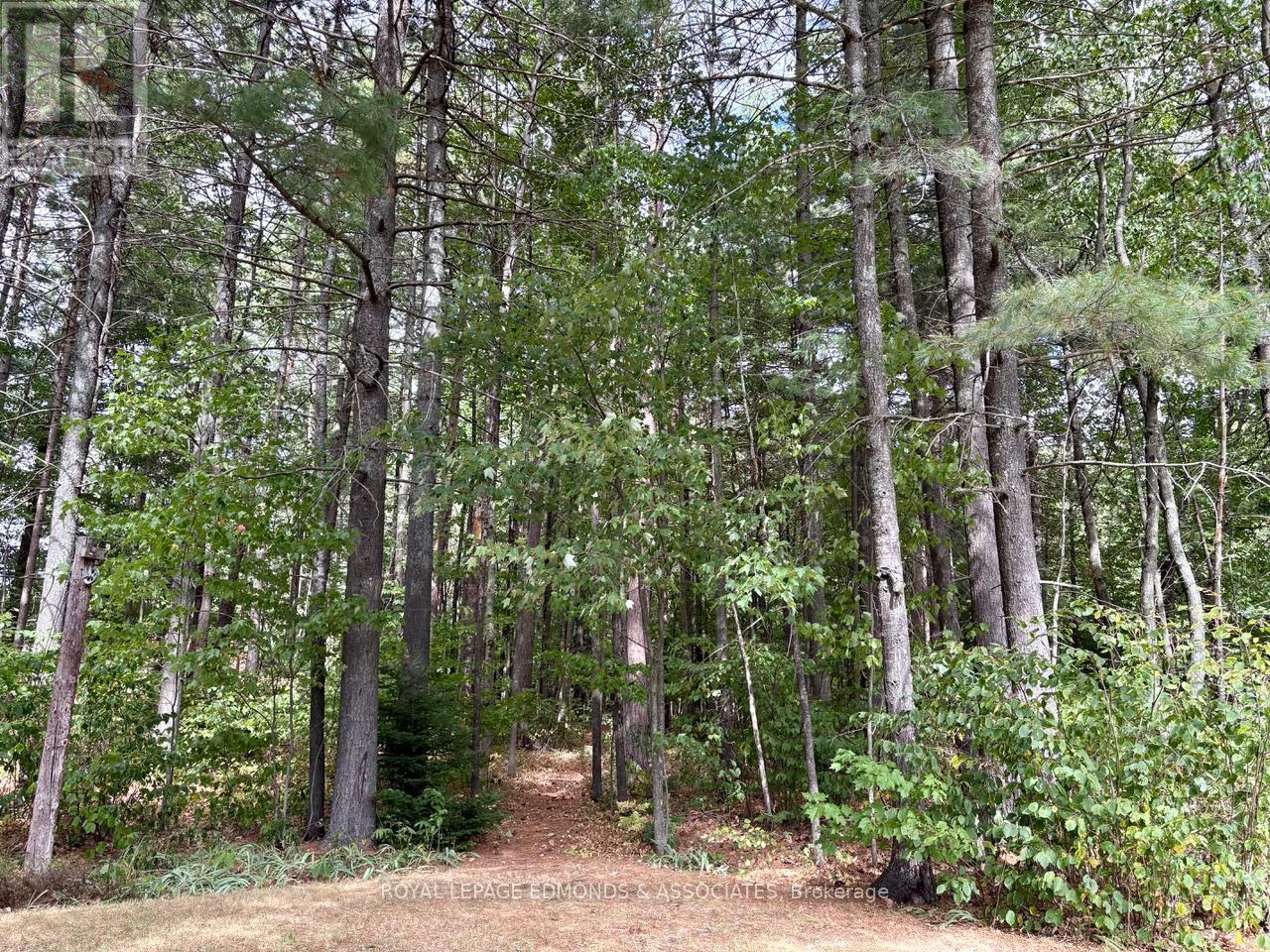 19 Selley Street, Petawawa, Ontario  K8H 3G9 - Photo 39 - X12355602