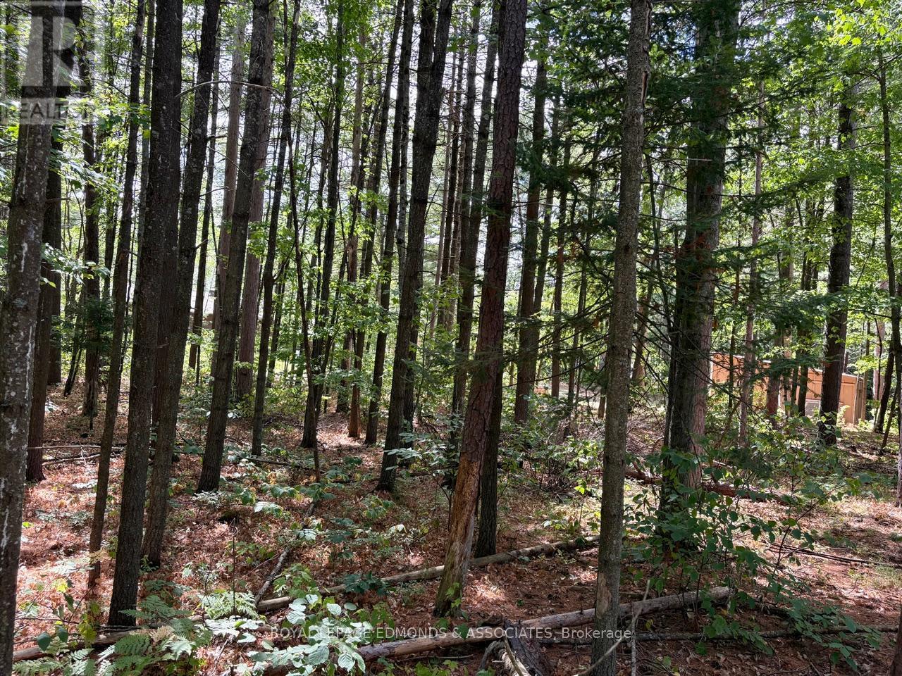 19 Selley Street, Petawawa, Ontario  K8H 3G9 - Photo 41 - X12355602