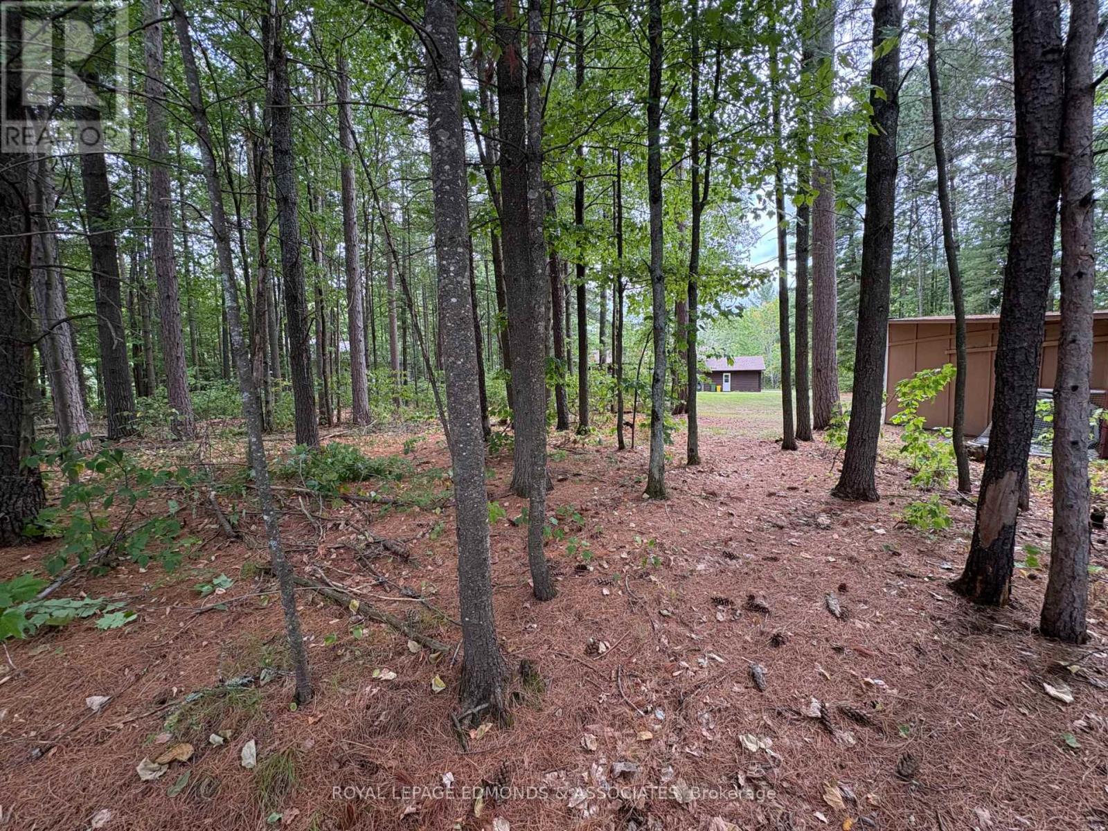19 Selley Street, Petawawa, Ontario  K8H 3G9 - Photo 42 - X12355602