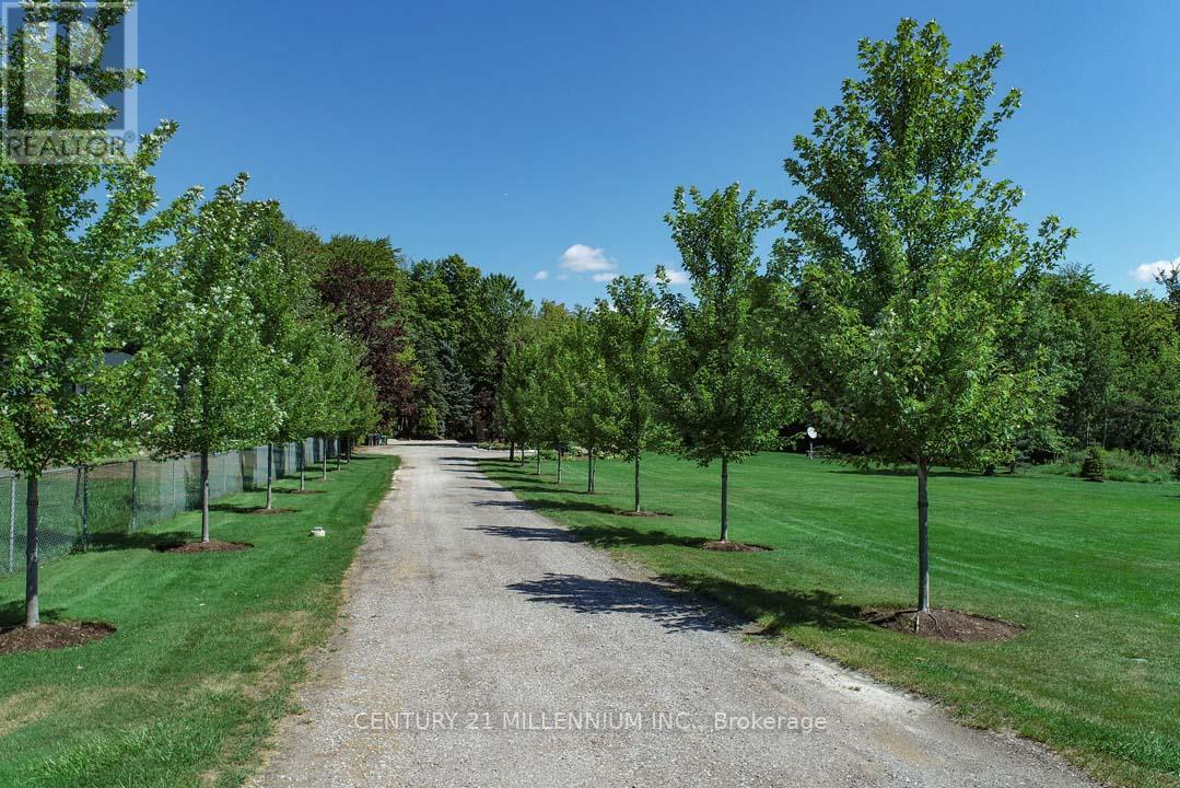 14453 Centreville Creek Road, Caledon, Ontario  L7C 3C1 - Photo 6 - W12411144