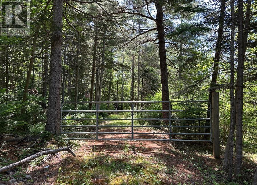 Lot 3 Target Hill Road, Chester, Nova Scotia  B0J 1J0 - Photo 8 - 202514927