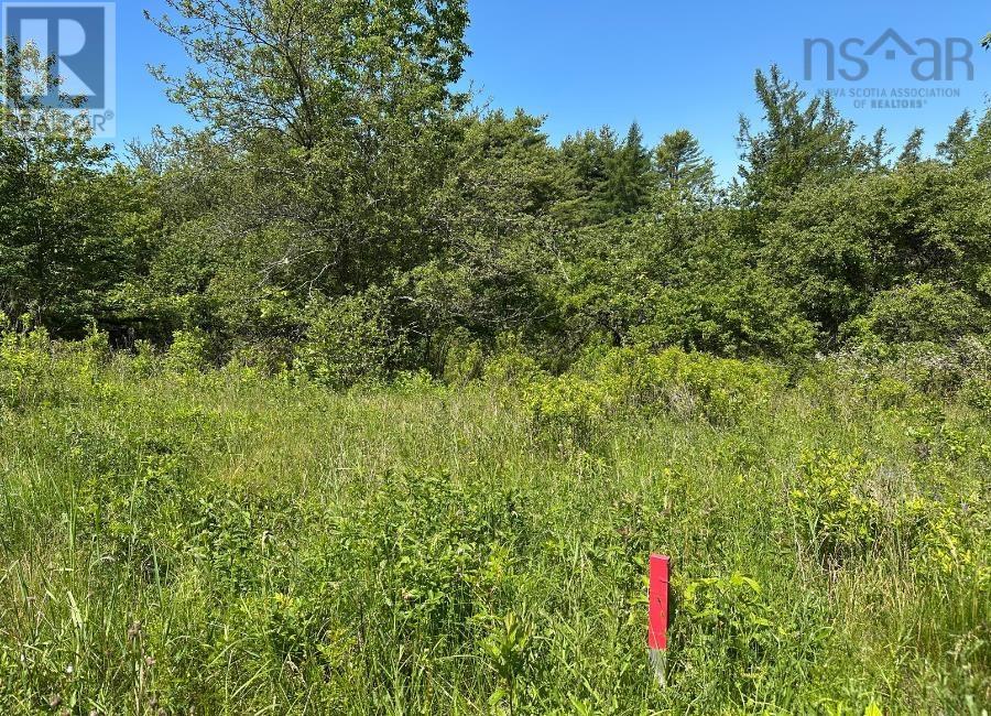Lot 3 Target Hill Road, Chester, Nova Scotia  B0J 1J0 - Photo 2 - 202514927