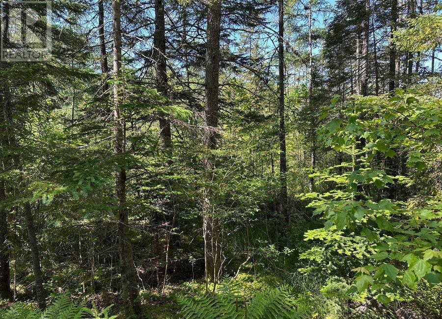 Lot 3 Target Hill Road, Chester, Nova Scotia  B0J 1J0 - Photo 3 - 202514927