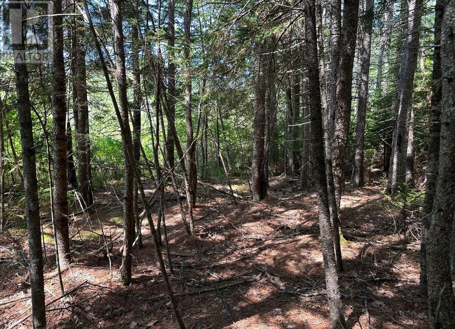 Lot 3 Target Hill Road, Chester, Nova Scotia  B0J 1J0 - Photo 7 - 202514927