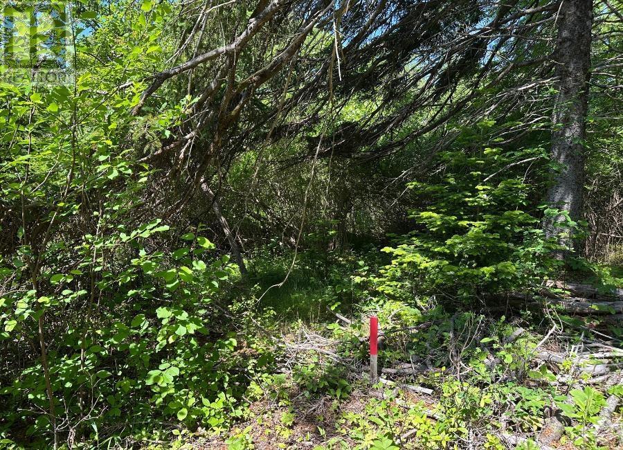 Lot 3 Target Hill Road, Chester, Nova Scotia  B0J 1J0 - Photo 6 - 202514927
