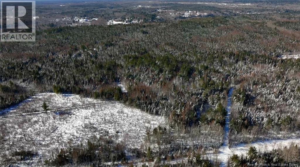 Lot Pleasant Drive, Minto, New Brunswick  E4B 2V4 - Photo 12 - NB112810