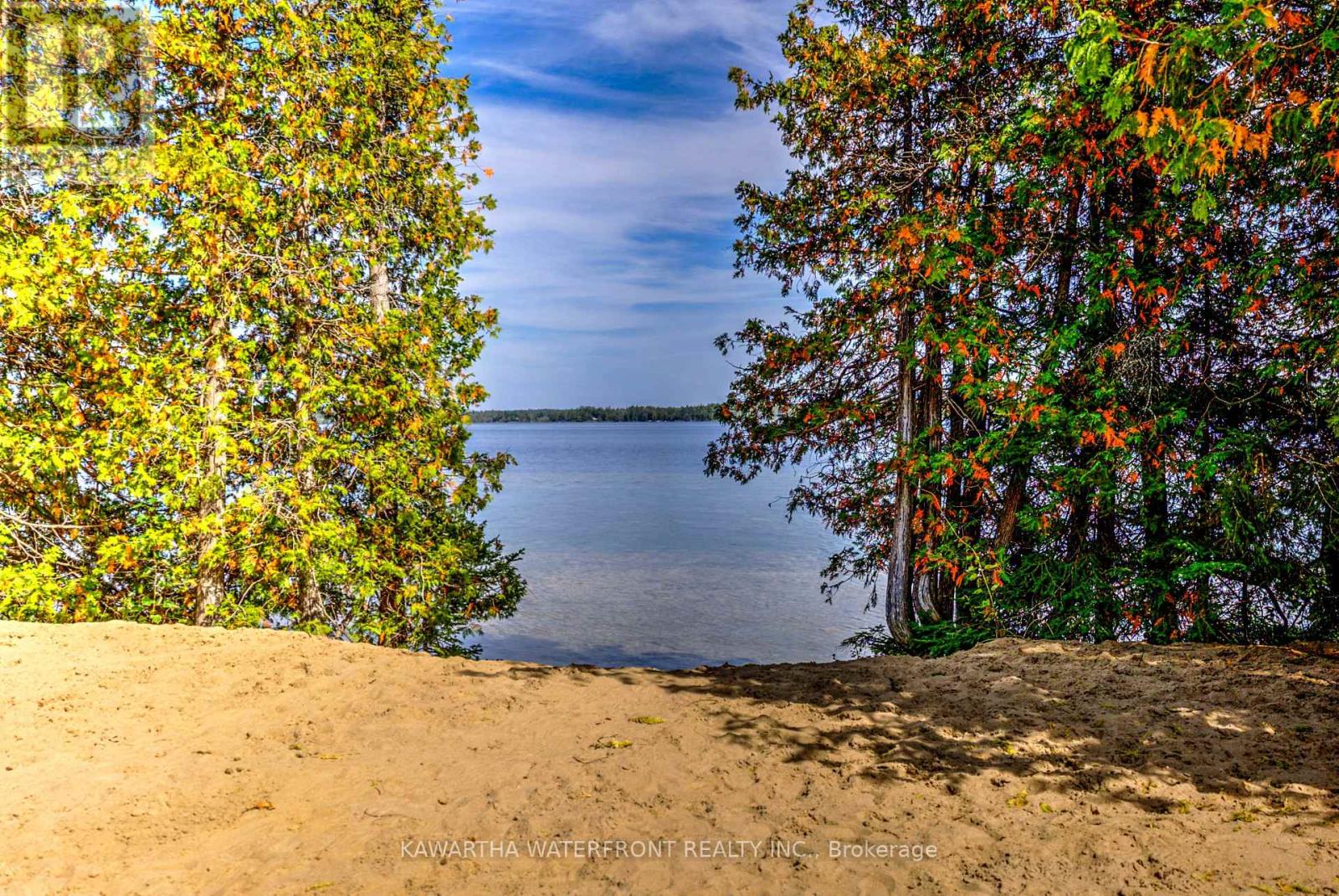 75 Beaver Drive, Kawartha Lakes, Ontario  K0M 1K0 - Photo 11 - X12401167