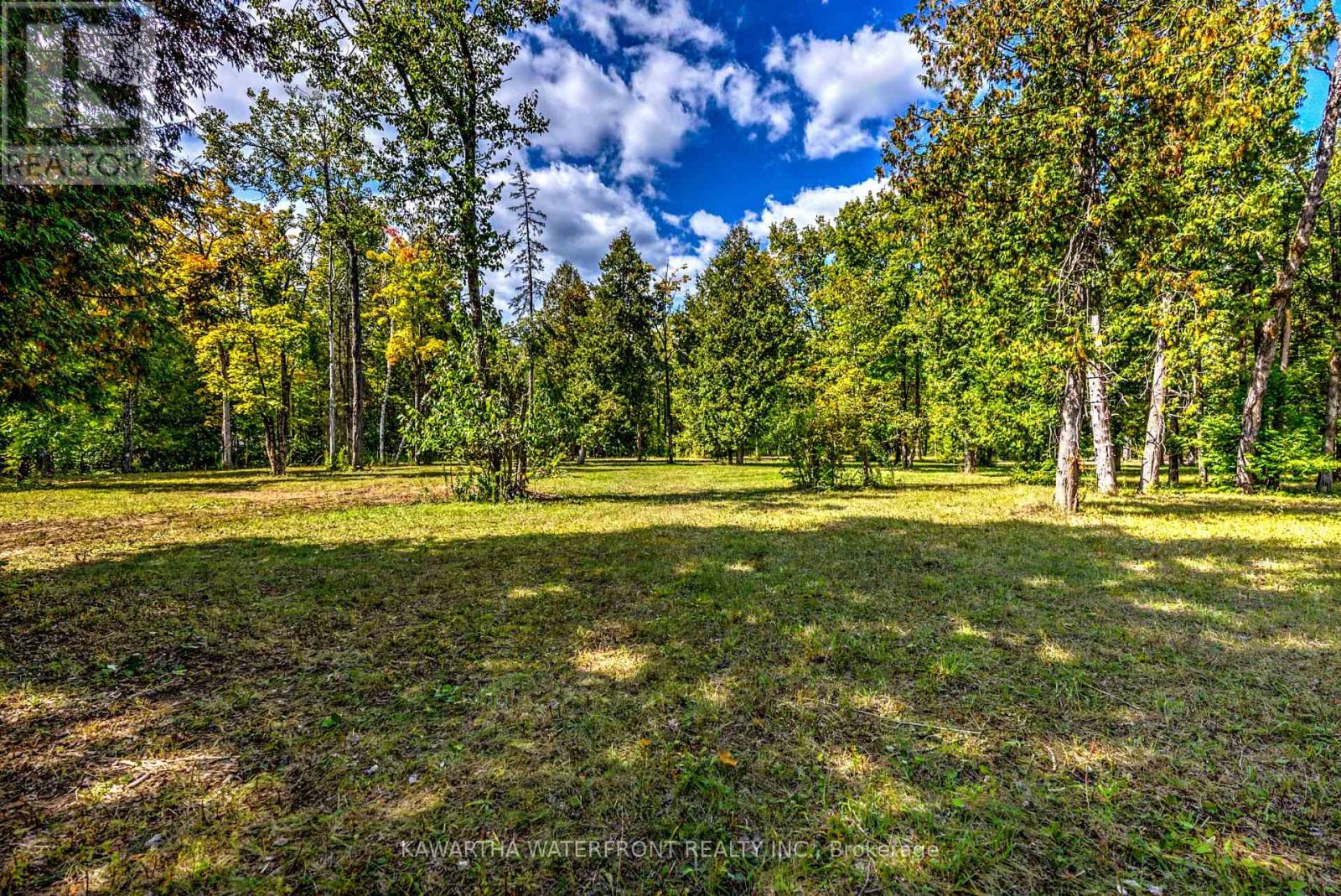 75 Beaver Drive, Kawartha Lakes, Ontario  K0M 1K0 - Photo 10 - X12401167